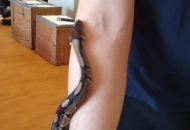 21